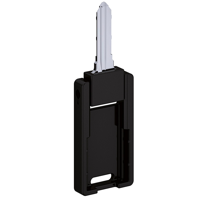 Master ključ - Inlay Master ključ - Inlay