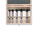Forstner svrdla - set