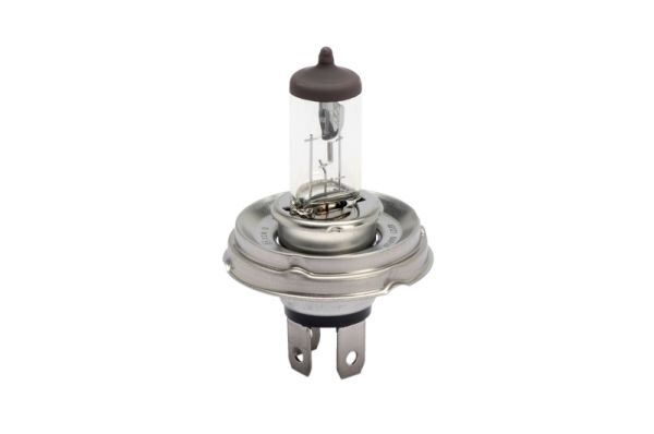 ŽARULJA-P45T-12V-45/40W