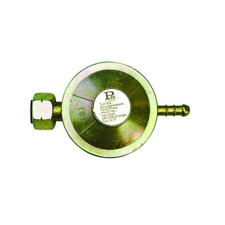 PLINSKI REGULATOR 1kg