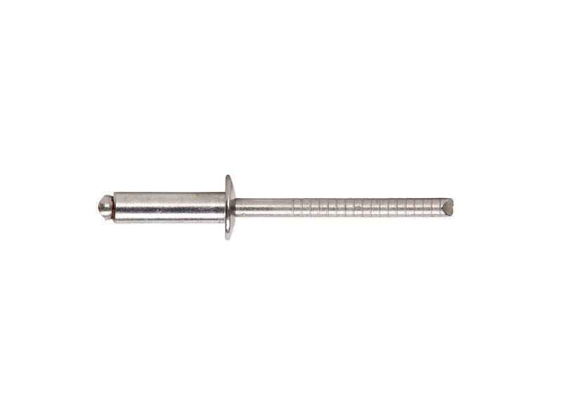 ZAKOVICA-SLIJEPA-RAV.GLAVA-A4-(4,0-6,0)-5,0X10