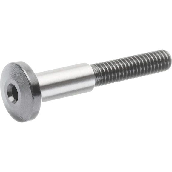 STEZ. VIJAK ZA PRIHVAT LISTA PILE  M 6x25 mm