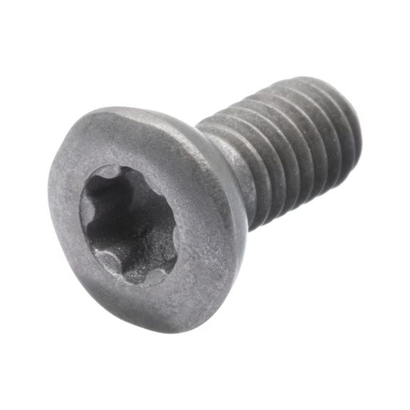 STEZ. VIJAK ZA PLOČ. M4x10 mm