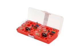 SET ŽARULJA-H7/H7-24V-22KOM